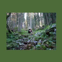 2012-08-09_01Fischunkel-Alm_Wasseralm (363)b.JPG